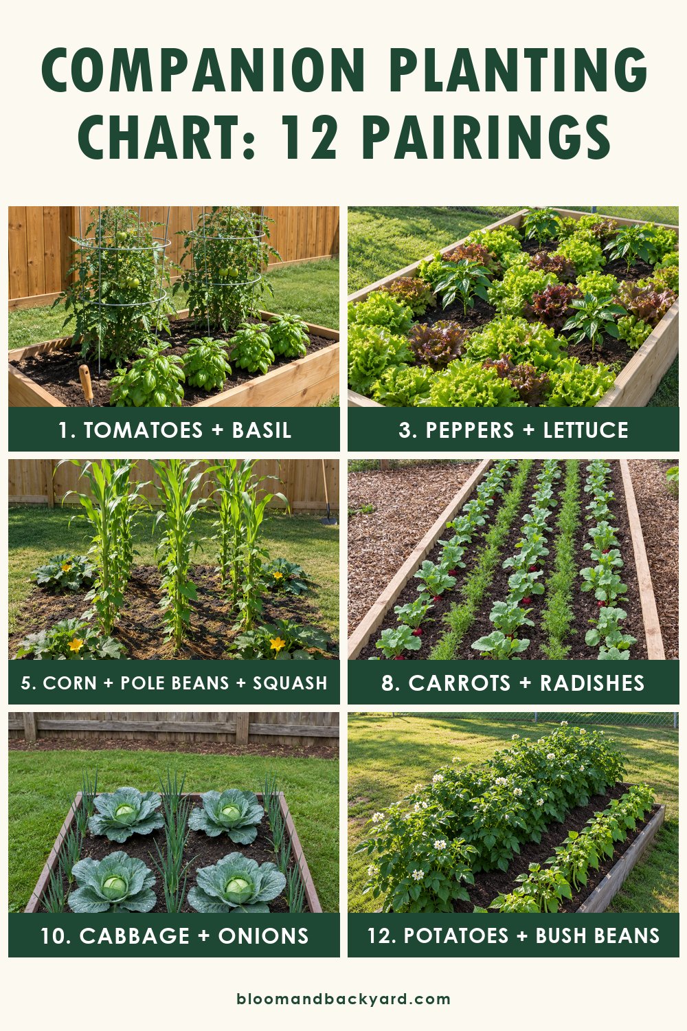 Companion Planting Chart: 12 Pairings