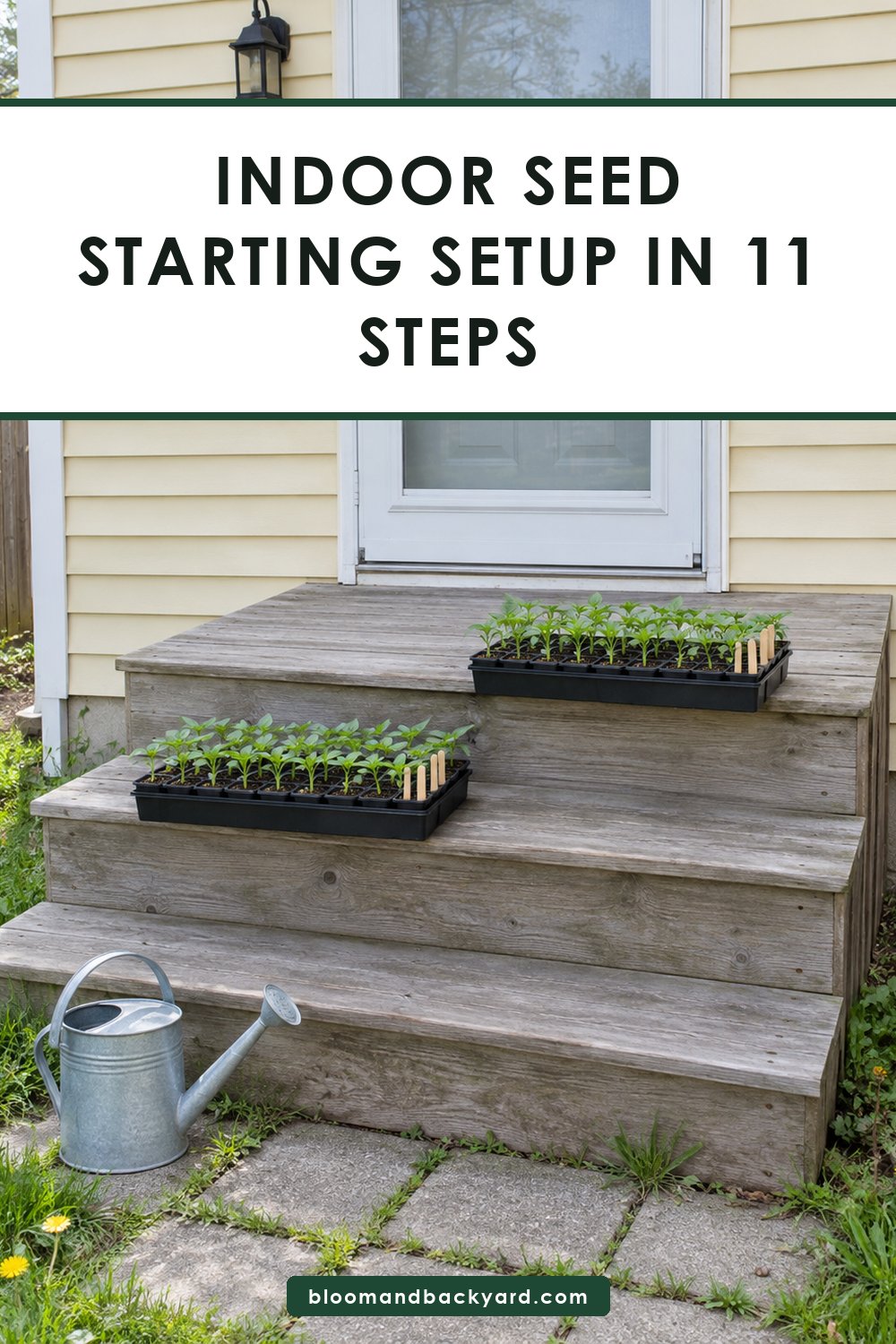 Indoor Seed Starting Setup in 11 Steps